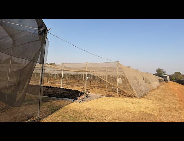 40,471M² SMALLHOLDING FOR SALE IN BENONI AH